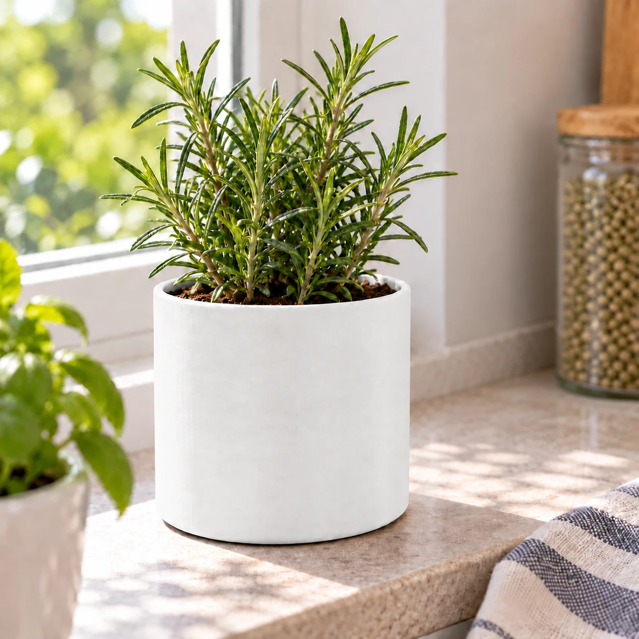 My first model, Simple Plant Pot! (no supports needed) · Blanco · Visualización digital