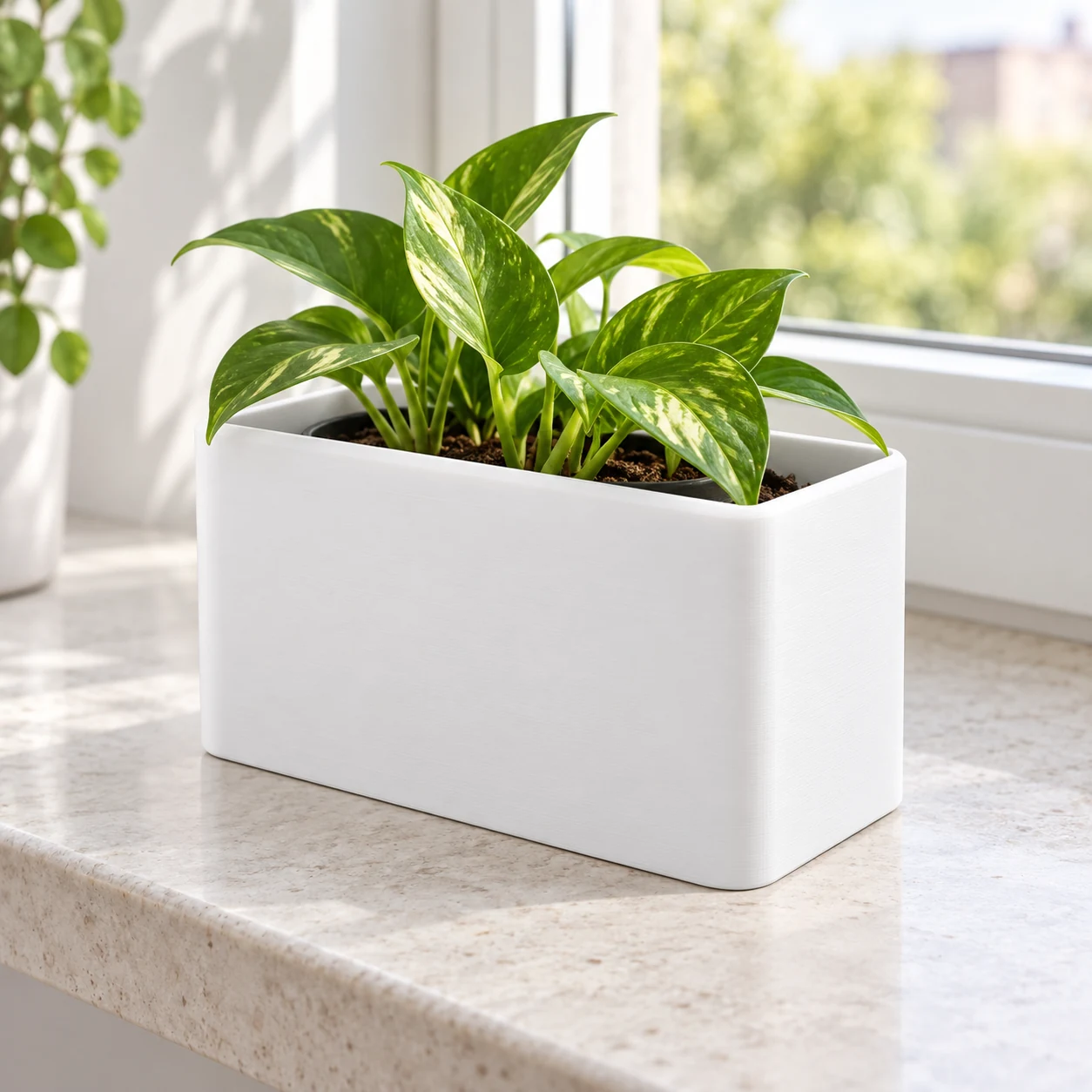 Window Planter · Blanco · Visualización digital