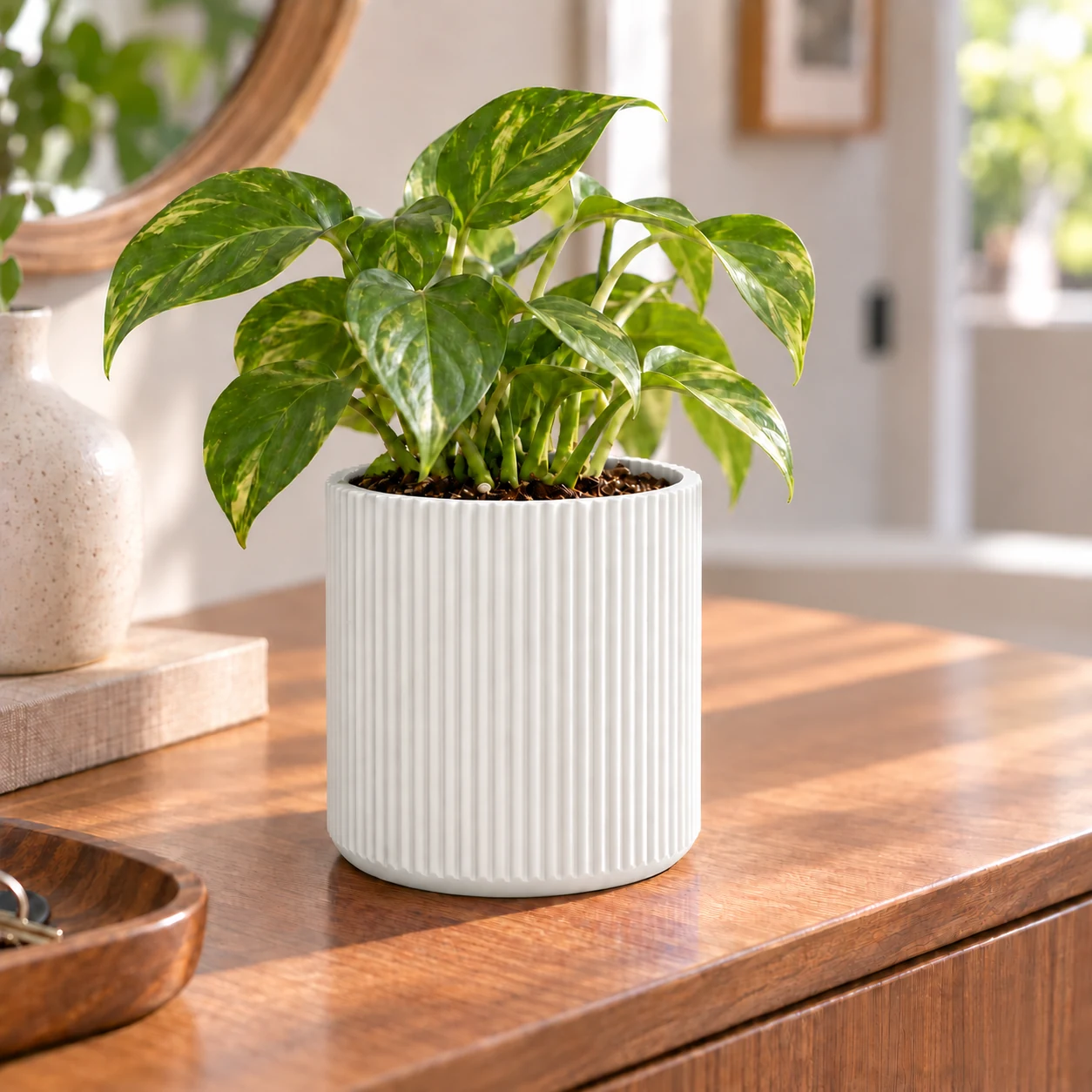 Parametric Planter · Blanco · Visualización digital