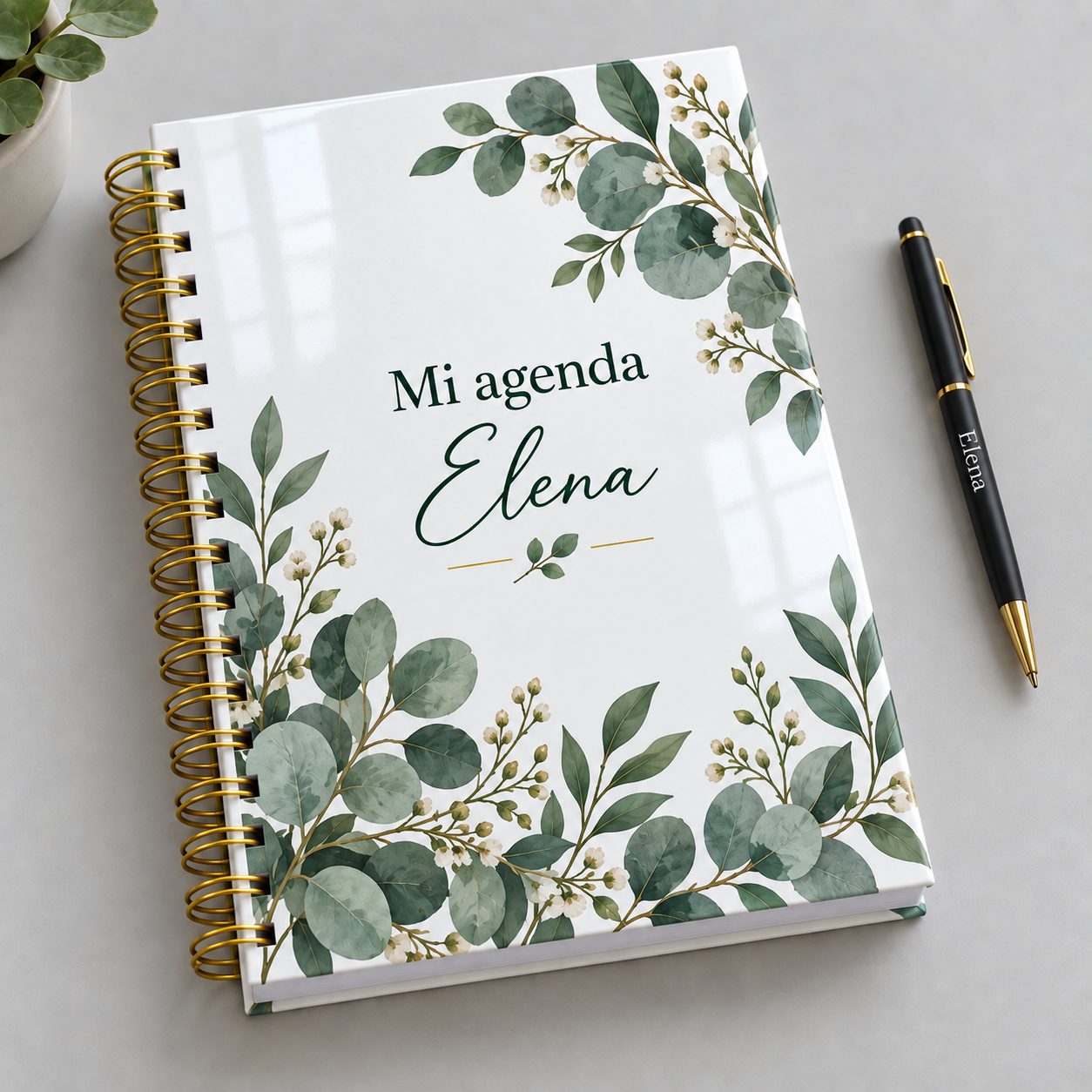 Mockup ilustrativo: Eucalipto minimalista