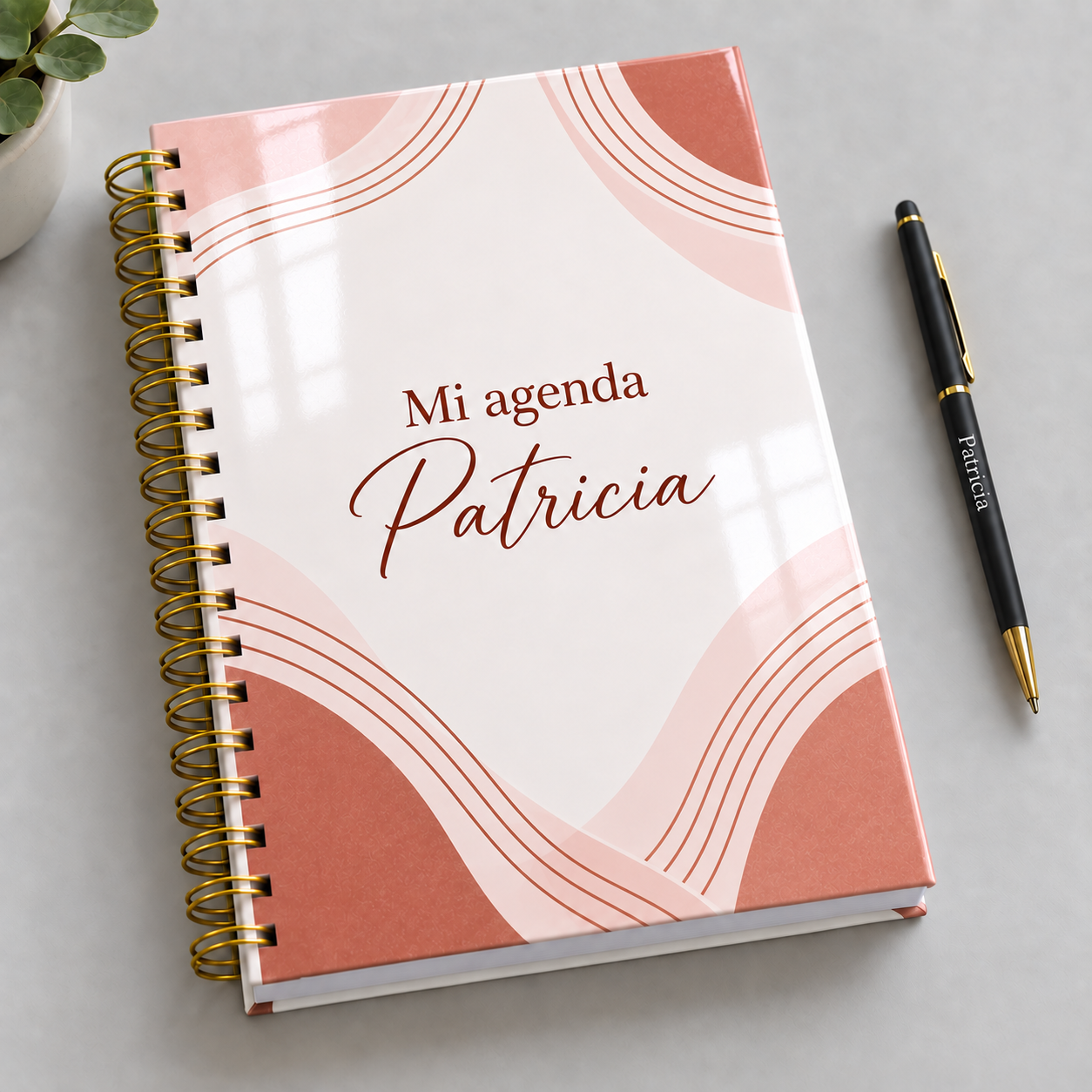 Mockup ilustrativo: Lineas terracota y rosa